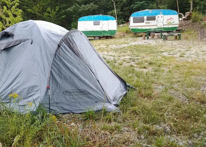 Wild Albareto (Parma)