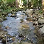 Camping Wild