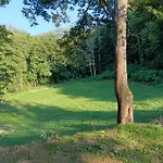 Camping Wild