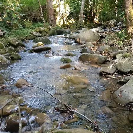 مكان تخييم Wild