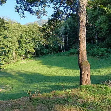 مكان تخييم Wild