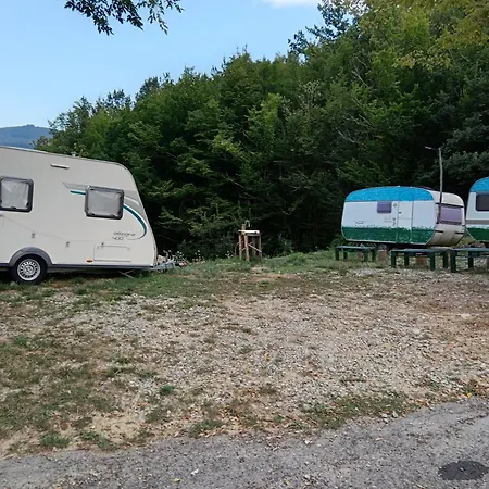 Wild Albareto * Albareto (Parma)