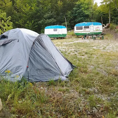 Wild Albareto (Parma)