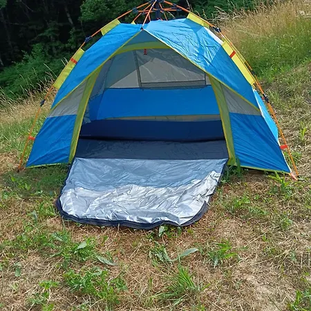 Wild * Albareto (Parma)