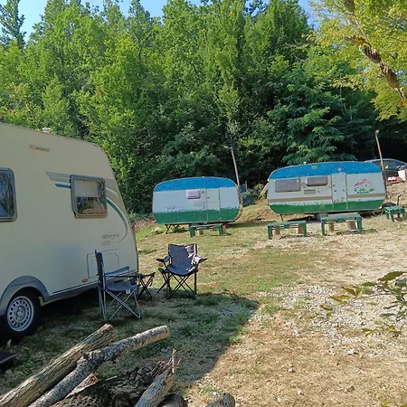 Wild * Albareto (Parma)