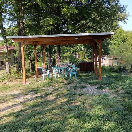 Wild مكان تخييم