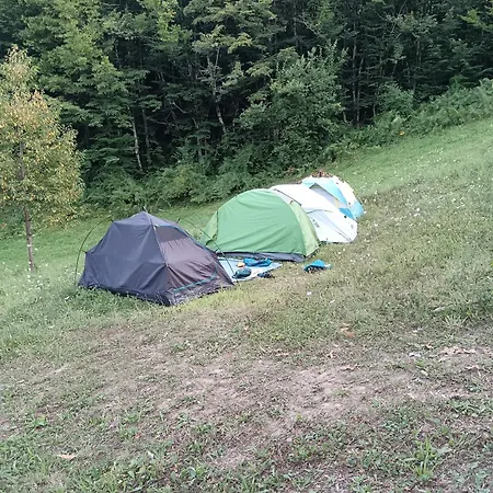 مكان تخييم Wild