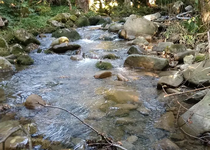 Parque de Campismo Wild