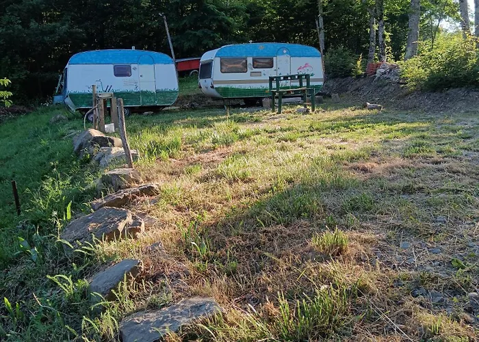 Κάμπινγκ Wild Albareto (Parma)