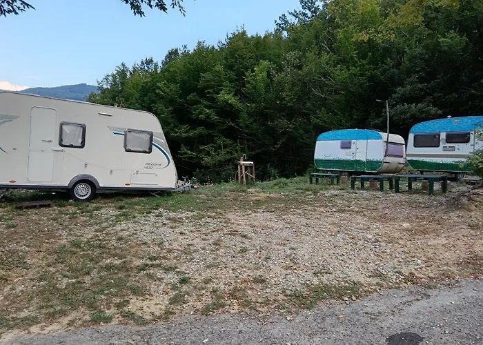 Wild * Albareto (Parma)