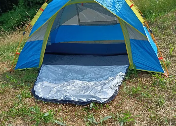 Wild * Albareto (Parma)