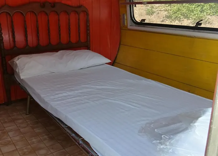 Wild Albareto (Parma)